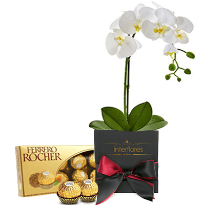 Orquídea e Chocolate para Presente - FRETE GRÁTIS :: InterFlores